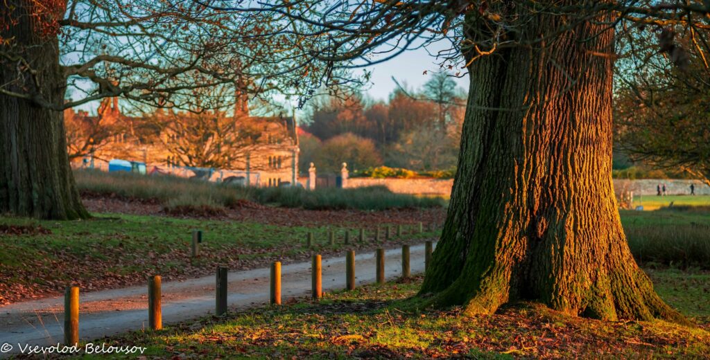 Knole Park, Sevenoaks, Kent, one of the best places to live in Kent 2025, popular with commuters moving out of London.