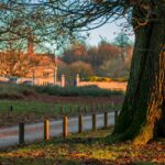 Knole Park, Sevenoaks, Kent, one of the best places to live in Kent 2025, popular with commuters moving out of London.